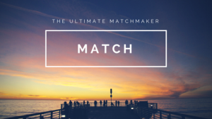 MATCH Function Excel