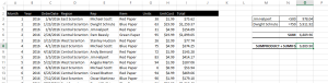 Excel SUMIFS OR